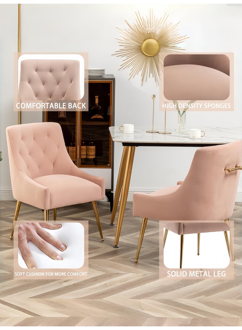 SEYNAR Dining Chair Set of 2,Modern Velvet Dining Chairs with Gold Legs,Elegant Tufted Accent Chairs for Reception, Living Room or Study Room - Image 5